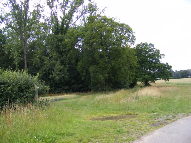 Bridleway to Scott's Lane and Debach Plantation