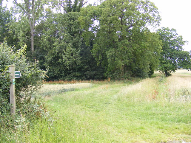 Bridleway to Scott's Lane & Debach Plantation
