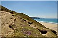 Carrick : Cliff Top & Path