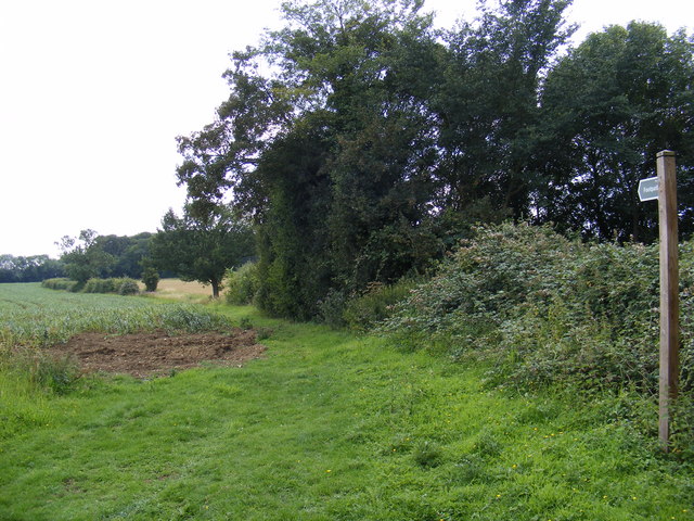 Footpath to Caters Road