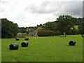 Fields near Hydan-fawr