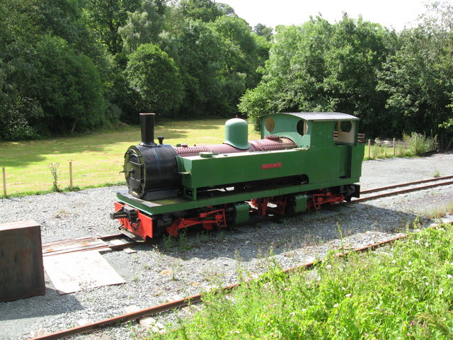 Monarch at Welshpool © Gareth James :: Geograph Britain and Ireland