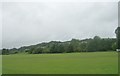 King George V Memorial Playing Fields - Canal Road