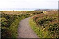 Footpath to Bedruthan Steps