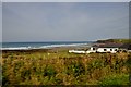 Widemouth Bay : Sandy Bay & Coastline