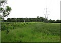 Arable land near Huntingtower