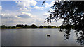 Reservoir near Little Haseley