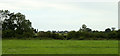 2011 : Pasture north of the road to Bushton