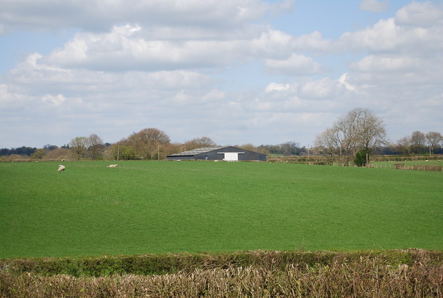 Barn in a field, Pattletons Farm