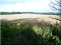 Country view from Hockenden Lane