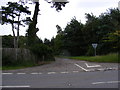 TM4563 : Sandy Lane Bridleway to the C228 by Geographer