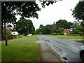 Dunsfold Road NE from Dunsfold