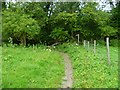 Field corner with bridleway between Sullington and Chantry