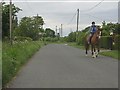 Equine encounter on Hayden Lane