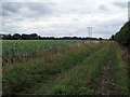 Public footpath near Scopwick