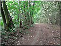 Path marked as public road, Wroxham