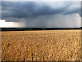 Rain over Bungay