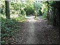 Green Chain Walk approaching New Street Hill