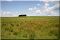 NT4811 : Farmland at Pilmuir by Walter Baxter