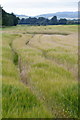 Flooded barley field near Nether Aird