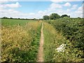 Footpath to Hogg Lane