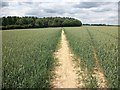 Footpath to Weedonhill Wood