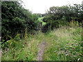 Looking back to the fields