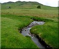 Lush grazing at Corrymuckloch