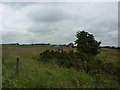 Moorhill Farm, Grindon Moor