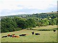 View from Shorts Lane towards Totley