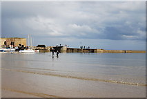 NU2328 : Beadnell Harbour by N Chadwick