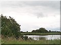 Ballygilbert Reservoir from the Downpatrick Road