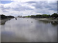 TQ2877 : View of River Thames from Chelsea Bridge by PAUL FARMER