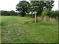 New waymarker at footpath and bridleway junction