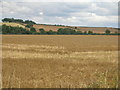 Farmland near Thealby