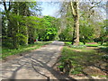 View along Rodbourne Road