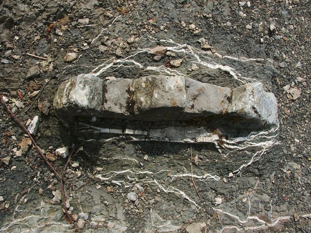 Cementstone with calcite veins
