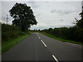 Looking east, near Scamland