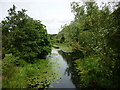 Pocklington canal from Hagg Bridge