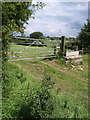 Gate and trough near Danielswell Farm