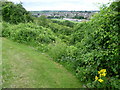 Viewpoint at Coney Banks, Chatham