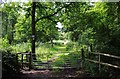 SO9173 : Entrance to Chaddesley Woods (National Nature Reserve) by P L Chadwick