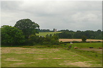 SX9784 : Fields near Powderham by Graham Horn