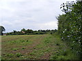 TM4160 : Footpath to Friston Moor & Church Road by Geographer