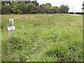 Protected verge near Newhouse Farm