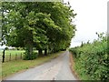 Lane to Lydes Farm