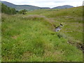 Looking down the burn