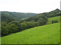 Field in the Camel valley at Bozion Farm