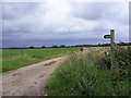 TM4259 : Footpath to the B1121 Aldeburgh Road by Geographer