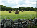 Bales near Evelix